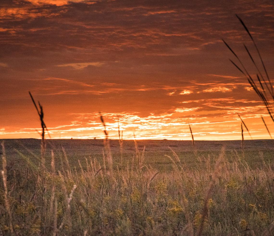 Plains and Prairies in Oklahoma